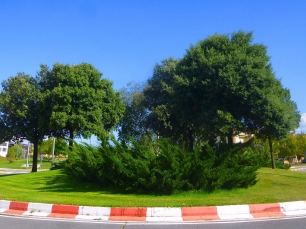 Espacio verde en Mutilva Alta, dentro del municipio de Aranguren. La fotografía ofrece contexto local; no muestra el yacimiento de Irulegi.