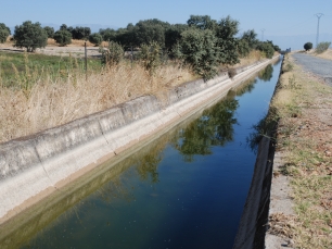 Canal de riego en el paisaje abierto de Saucedilla.