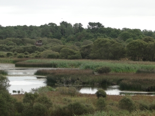 Laguna de Cospeito, escenario del relato tradicional de Nabalverde.