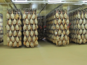 Bodega de Curado, llena de jamones, en las instalaciones de BEHER, Bernardo Hernández, en Guijuelo (Salamanca, España). Los jamones se encuentran es esta sala de curación durante 4 o 5 meses. Los cuales en verano, con el calor de la época, sudan, es decir la grasa se diluye y gotea.