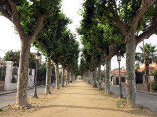 El paseo de la Misericòrdia, una de las referencias para recorrer la historia de Canet de Mar desde el valle hacia el litoral.