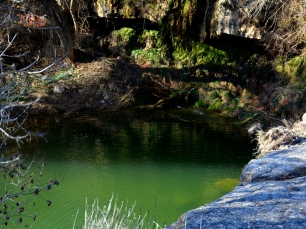 El Gorg d'en Targa, en el Torrent de Vallverd, ofrece una vista de uno de los paisajes de Sarral.