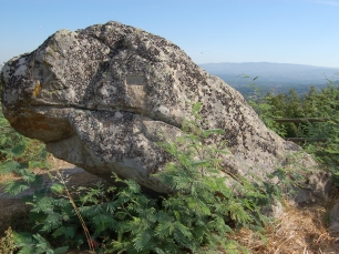 La Cama de San Xoán, una gran roca en el outeiro do Castro de Taboadela.