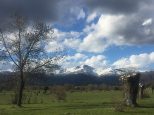 La sierra de Guadarrama vista desde la dehesa municipal de Moralzarzal.