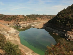 La desembocadura del Tiétar en el Tajo, en el entorno del parque nacional de Monfragüe. La confluencia sitúa el paisaje de ríos asociado a la historia de los embalses.