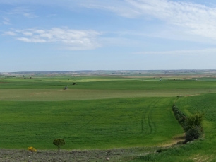 Panorámica de La Alberca de Záncara y de los campos que rodean el municipio.