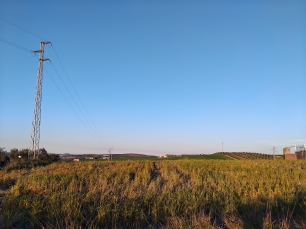 Campos ondulados de Fernán-Núñez, en la Campiña cordobesa que rodea la localidad y su conjunto monumental.