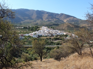 Cárchel entre olivares, con las sierras que enmarcan la ladera del municipio.