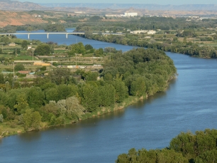 El Ebro a su paso por Tudela, entre vegetación de ribera y terrenos cultivados. La Mejana se formó por acumulación de los limos transportados por el río.