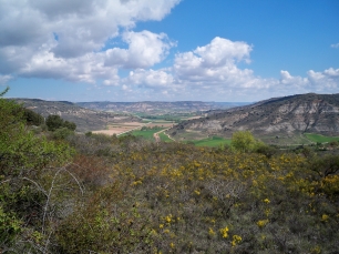 Desde el entorno de Loranca, el paisaje se abre hacia el valle del Tajuña y sus parcelas. La ladera conecta las cotas altas con la vega.