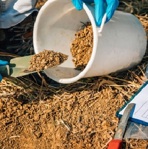 Muestras de terreno