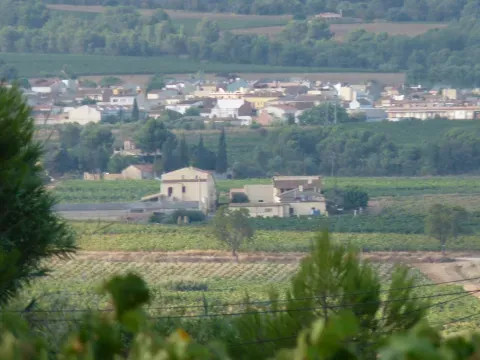 Viñedos y construcciones rurales de Can Saumell muestran el paisaje agrícola del término.