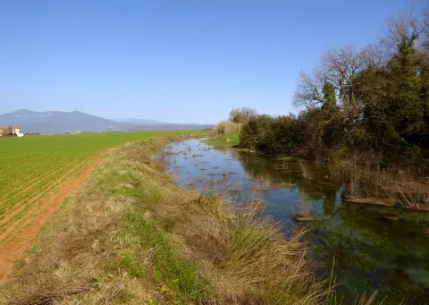 El Rec d’Espolla, con la Serra d’Espolla a la derecha y la Serra del Mont al fondo.