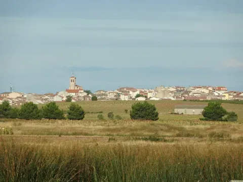 Vista de Cantalejo desde los terrenos de su entorno. La historia municipal describe la concentración de pequeños poblados en la cabecera durante los siglos XII y XIII.