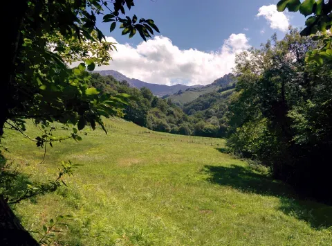 Una vista de la Ruta de los Molinos en Bimenes, entre laderas verdes y arboladas.