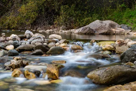 Un tramo del río Molinos cerca de Istán: agua, cantos y vegetación en uno de los cursos que forman parte del paisaje municipal.
