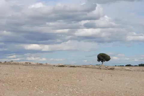 Paisaje próximo al Mas d’allà dins, en Fraga, con terreno pedregoso y vegetación dispersa: otra cara del término municipal frente a las tierras regadas del valle.