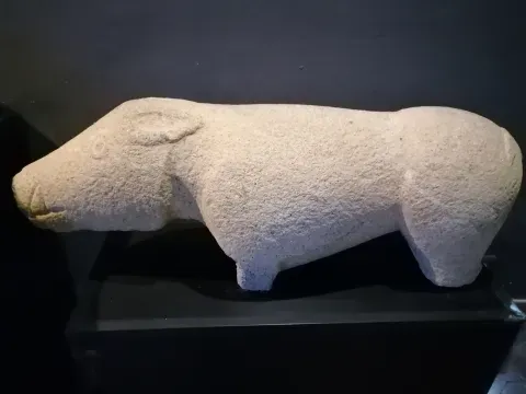 Verraco granítico hallado en el término de Madrigalejo y conservado en el Museo Provincial de Cáceres, una pieza relacionada con las huellas antiguas del municipio.