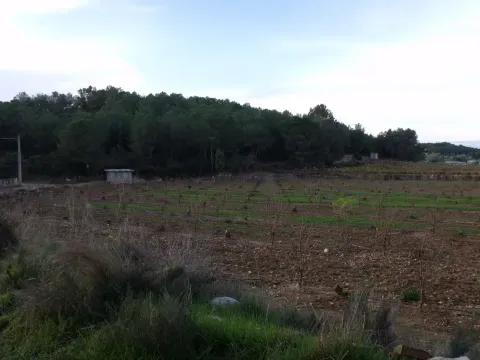 El Cerro El Huerto y los campos de Godelleta forman parte del paisaje agrícola del municipio.