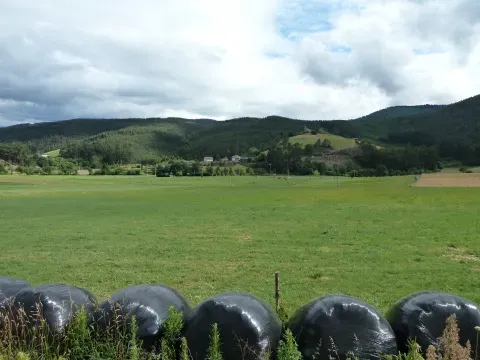 Prados y laderas boscosas del municipio, el paisaje que asciende desde el Eo hacia las alturas de la Serra da Cadeira.