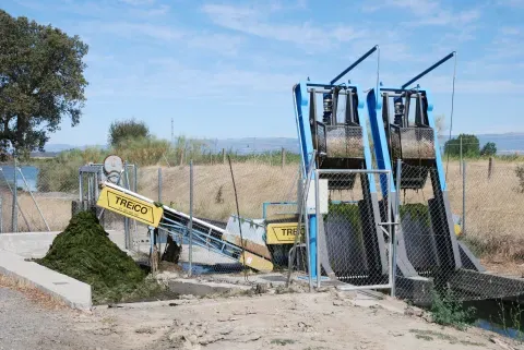 La estación limpiadora retira las algas acumuladas en el canal de riego.