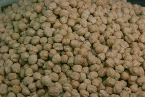 Garbanzo de Fuentesaúco, un cultivo local agrupado en su denominación de origen.