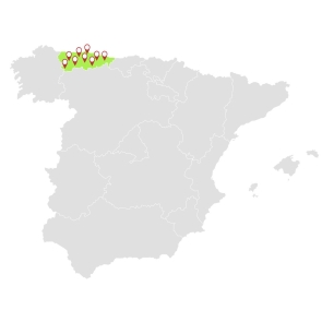 Asturias empresas para estudio geotécnico