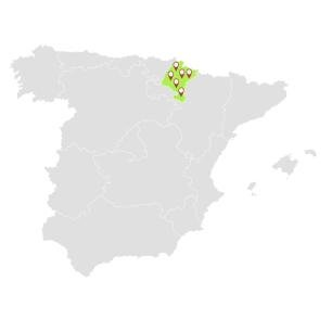 Navarra geotécnia