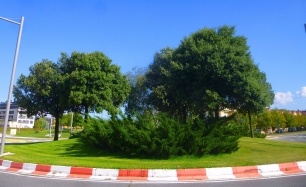 Espacio verde en Mutilva Alta, dentro del municipio de Aranguren. La fotografía ofrece contexto local; no muestra el yacimiento de Irulegi.