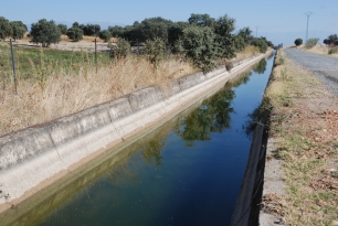 Canal de riego en el paisaje abierto de Saucedilla.