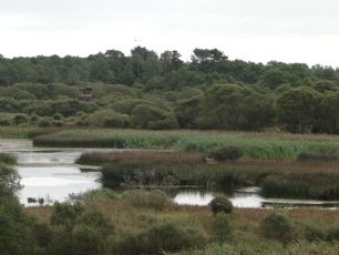 Laguna de Cospeito, escenario del relato tradicional de Nabalverde.