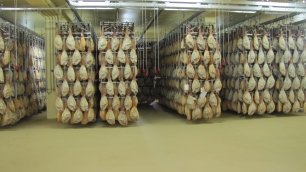 Bodega de Curado, llena de jamones, en las instalaciones de BEHER, Bernardo Hernández, en Guijuelo (Salamanca, España). Los jamones se encuentran es esta sala de curación durante 4 o 5 meses. Los cuales en verano, con el calor de la época, sudan, es decir la grasa se diluye y gotea.