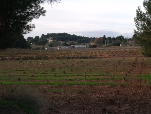 Parcelas de cultivo en Godelleta, donde los pozos y el riego por goteo impulsaron la agricultura intensiva.