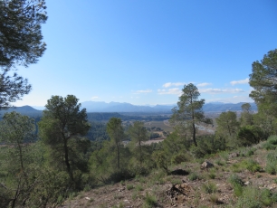 Vista del término municipal de Tivissa, con laderas arboladas y relieves que enmarcan sus distintos enclaves.