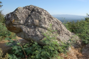 La Cama de San Xoán, una gran roca en el outeiro do Castro de Taboadela.