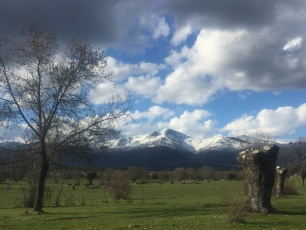 La sierra de Guadarrama vista desde la dehesa municipal de Moralzarzal.