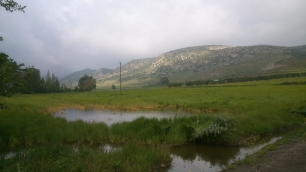 Sierras y campos de cultivo en Aldea del Rey, el paisaje que enmarca la historia del término y sus aprovechamientos.