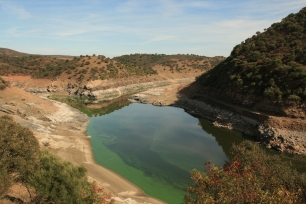 La desembocadura del Tiétar en el Tajo, en el entorno del parque nacional de Monfragüe. La confluencia sitúa el paisaje de ríos asociado a la historia de los embalses.