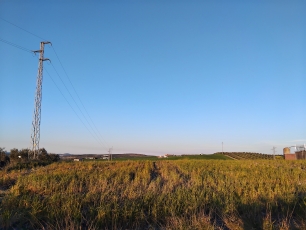 Campos ondulados de Fernán-Núñez, en la Campiña cordobesa que rodea la localidad y su conjunto monumental.