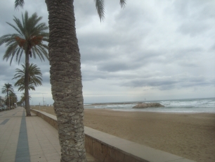 La playa de Cunit junto al paseo marítimo, con las estructuras de protección que contribuyen a definir su perfil costero.