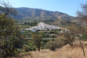 Cárchel entre olivares, con las sierras que enmarcan la ladera del municipio.