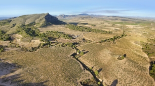 Viñedos de Jumilla entre la sierra de la Cingla y Peñarrubia; una vista del paisaje municipal, no de las Minas de la Celia.