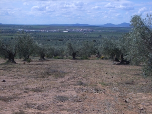 Trujillanos visto desde el entorno del depósito de agua, con el paisaje del término en primer plano.
