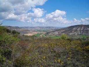 Desde el entorno de Loranca, el paisaje se abre hacia el valle del Tajuña y sus parcelas. La ladera conecta las cotas altas con la vega.